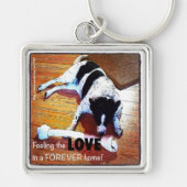 Feeling The Love Border Collie Schlüsselanhänger (Vorne)