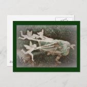 Feen, die Nisse (Gnome, fangen) Postkarte (Vorne/Hinten)