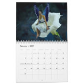 Feen, ein Kalender 2013 (Feb 2027)