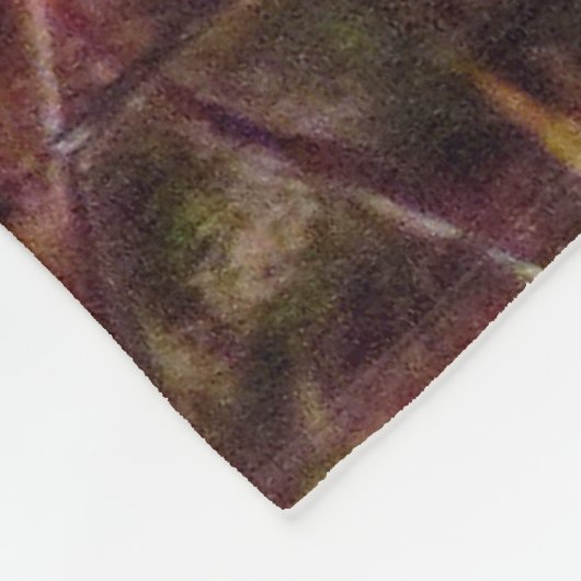 Feen in einem Vogelnest, John Anster Fitzgerald Fleecedecke (Ecke)