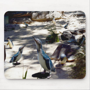 Feen-Pinguin-Paradies, Mousepad