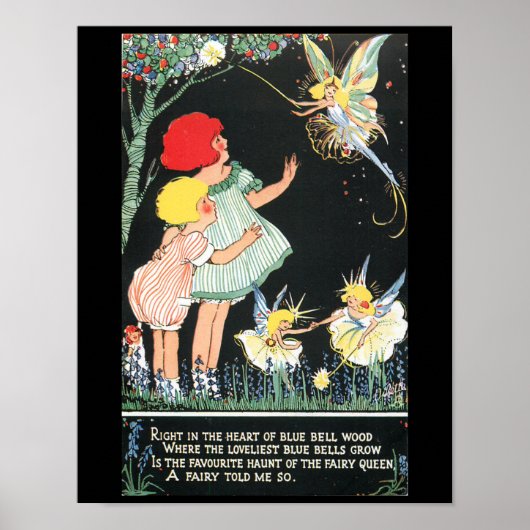 Feen und Blauglöckchen Poster (Vorne)