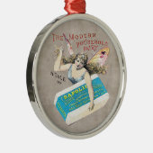 Feenhafte Seifen-Verzierung Silbernes Ornament (Rechts)