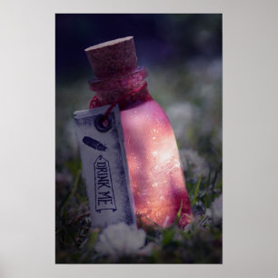 Feenhaftes Gift Poster