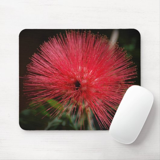 Feenhaftes Staubtuch Mousepad (Mit Mouse)