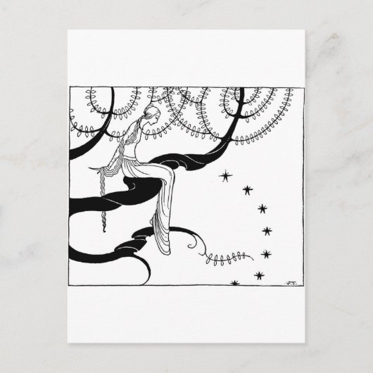 Feenklammer-Art-22 Postkarte (Vorderseite)