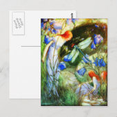 Feenlibelle Postkarte (Vorne/Hinten)