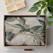 "Feenruhe in einer Hängematte" von Amelia Jane Mur Seidenpapier (Geschenk)