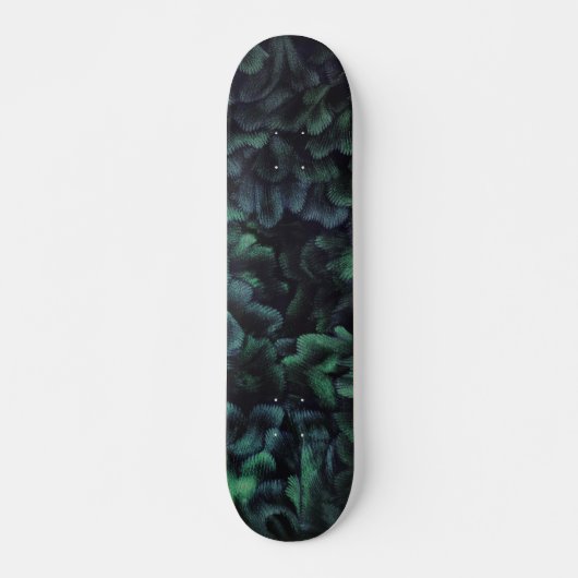 Feenwald-Skateboard Skateboard (Vorne)
