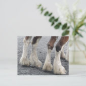 Feet Postkarte (Stehend Vorderseite)