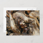 Fegefeuer - in Baumwurzeln gehauchter Mensch Postkarte (Vorne/Hinten)