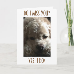 FEHLEN SIE DAS GANZE JAHR DURCH, ABER AM MEISTEN I FEIERTAGSKARTE