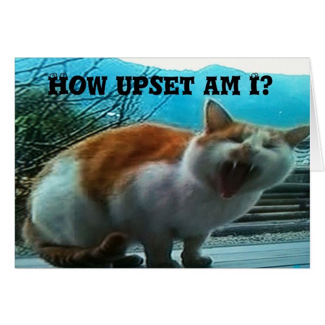 **FEHLEN SIE** SO VIEL BEI **CHRISTMAS** (Vorderseite (Horizontal))