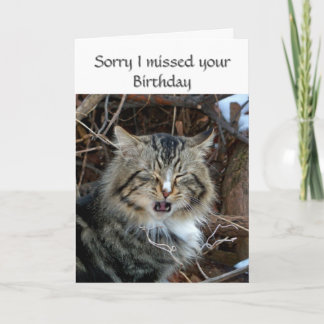 Fehlender Geburtstag Cat Foto Gruß Karte