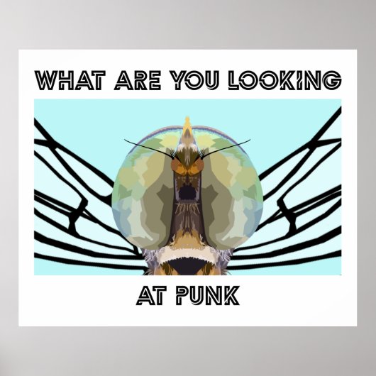 FEHLER 1 POSTER (Vorne)