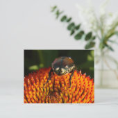 Fehler bei Blume schließen Postkarte (Stehend Vorderseite)