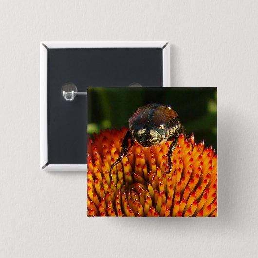 Fehler bei der Blume Button (Vorne & Hinten)