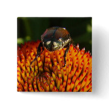 Fehler bei der Blume