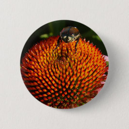 Fehler bei der Blume Button