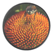 Fehler bei der Blume Eishockey Puck (Vorderseite)