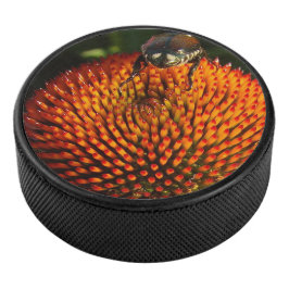 Fehler bei der Blume Eishockey Puck