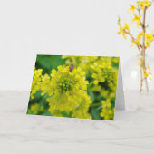 Fehler bei der Blume Karte (Gelbe Blume)