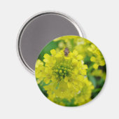 Fehler bei der Blume Magnet (Vorderseite/Rückseite)