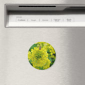 Fehler bei der Blume Magnet (In Situ (Geschirrspüler))