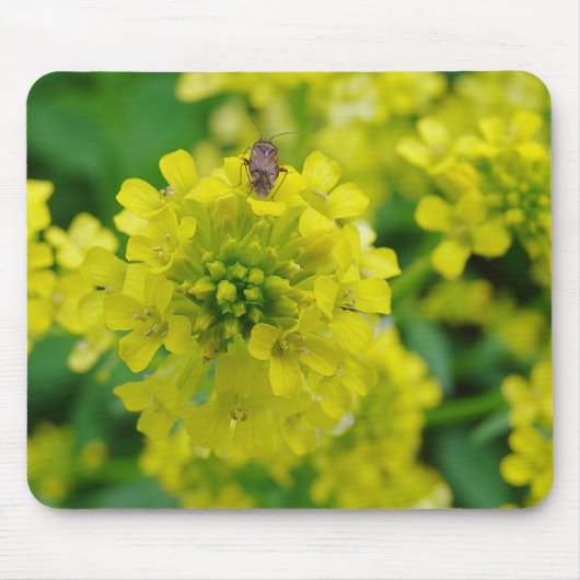 Fehler bei der Blume Mousepad (Vorne)