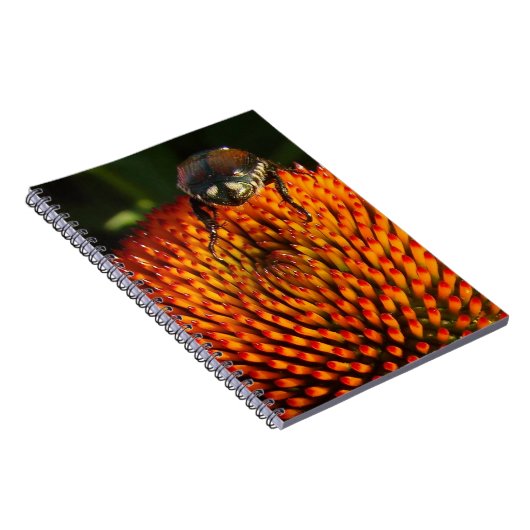 Fehler bei der Blume Notizblock (Rechte Seite)