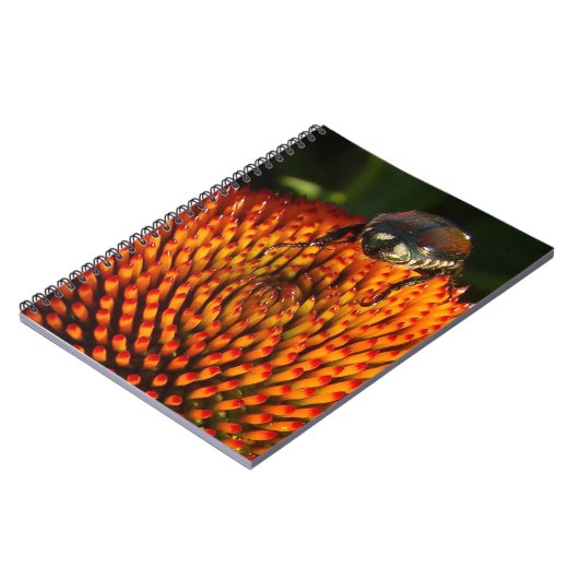 Fehler bei der Blume Notizblock (Linke Seite)