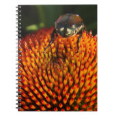 Fehler bei der Blume Notizblock (Vorderseite)