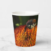 Fehler bei der Blume Pappbecher (Links)