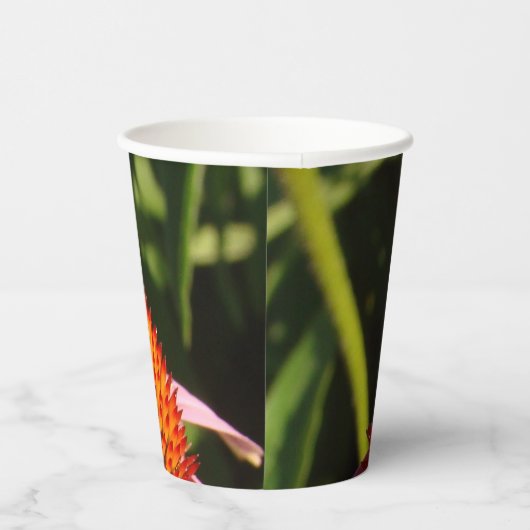 Fehler bei der Blume Pappbecher (Rechts)