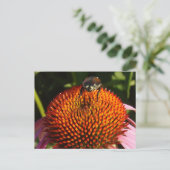 Fehler bei der Blume Postkarte (Stehend Vorderseite)