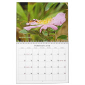 Fehler erhalten No Respect #2-Kalender Kalender (Feb 2026)