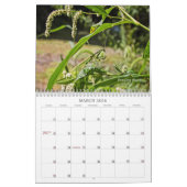 Fehler erhalten No Respect #2-Kalender Kalender (Mär 2026)