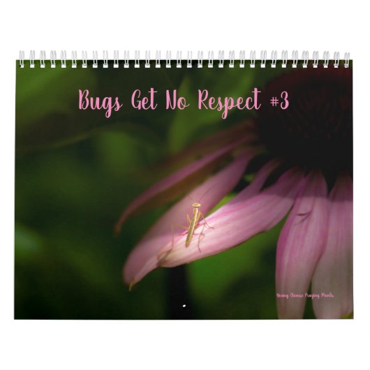 Fehler erhalten No Respect Calendar #3 Kalender (Titelbild)