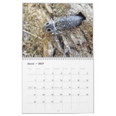 Fehler erhalten No Respect Calendar #3 Kalender (Mär 2027)