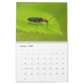 Fehler erhalten No Respect Calendar #3 Kalender (Jan 2027)