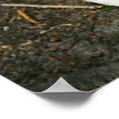 Fehler in Woods Poster (Ecke)