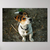 Fehler in Woods Poster (Vorne)