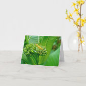 Fehlerbehandlungskarte für Meucheln Karte (Gelbe Blume)