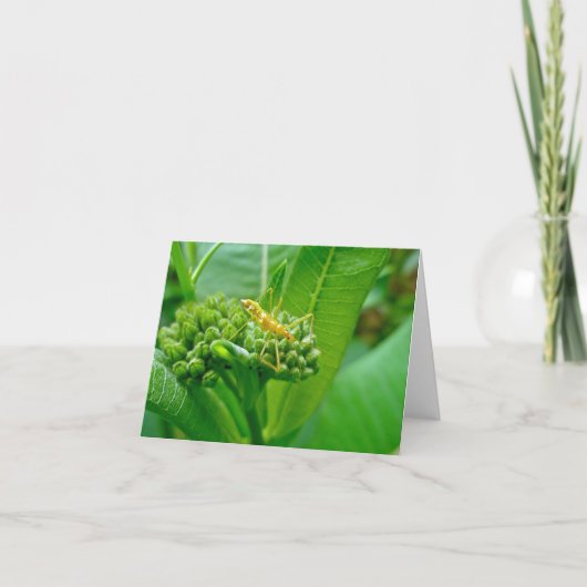 Fehlerbehandlungskarte für Meucheln Karte (Vorderseite)