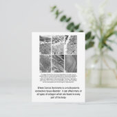 Fehlerhafte Kollagen EDS-Bewusstseins-Postkarte Postkarte (Stehend Vorderseite)