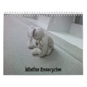 Fehlerkalender Kalender (Titelbild)