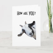 **FEHLT DICH** UND IMMER * DENKEN SIE* KARTE (Vorderseite)