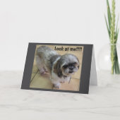 "FEHLT EUCH IM ERNTEDANK" KARTE (Vorderseite)