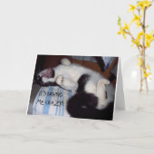 FEHLT IHNEN DIE ZUHAUSE SOFORT KARTE (Gelbe Blume)