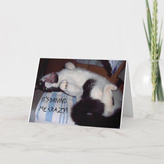 FEHLT IHNEN DIE ZUHAUSE SOFORT KARTE (Vorderseite)